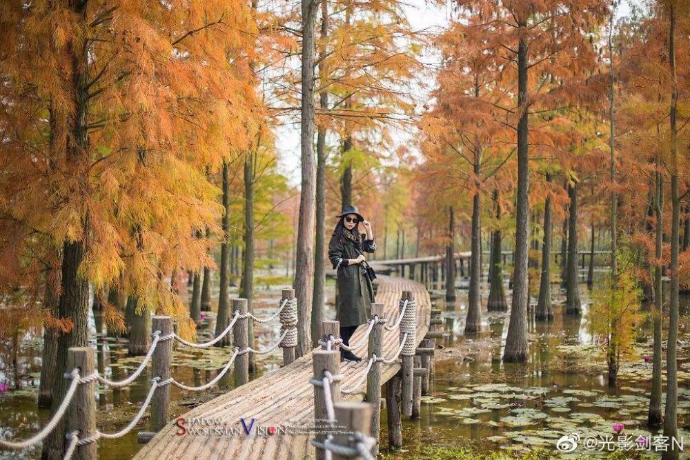 最近流行的毛巾卷蛋糕，你们都尝过了吗