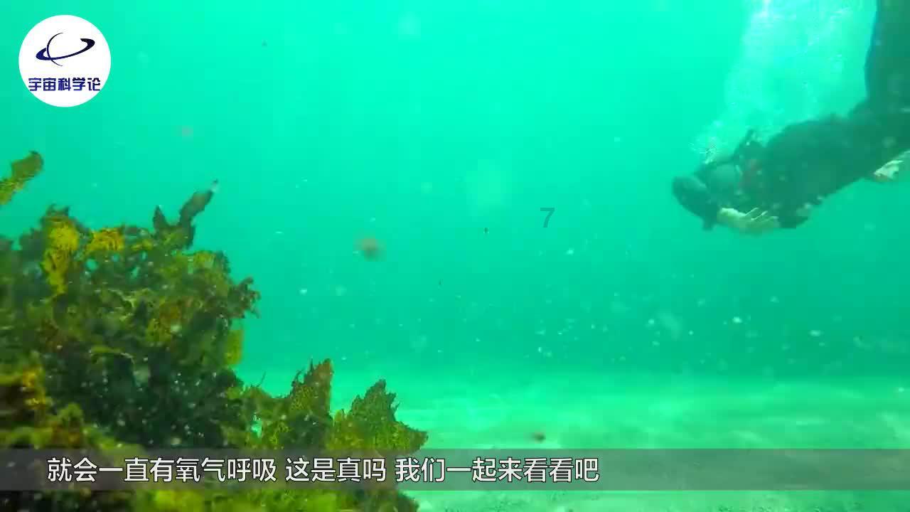 刺客信条起源