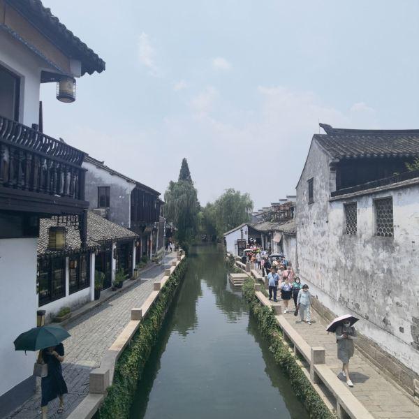 拯救精灵的土地6